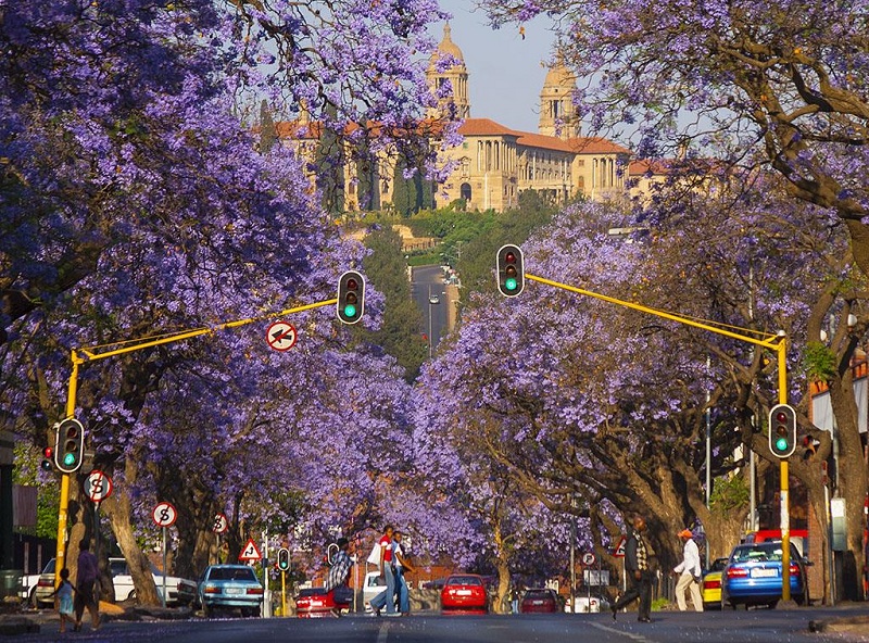 Khám Phá Vùng Đất Kim Cương – Nam Phi: Johannesburg - Pretoria - Pilanesberg Sun City – Cape Town